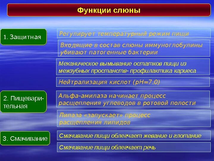 Функции слюны. Защитная функция слюны. основные функции слюны. защитные механизмы слюны.
