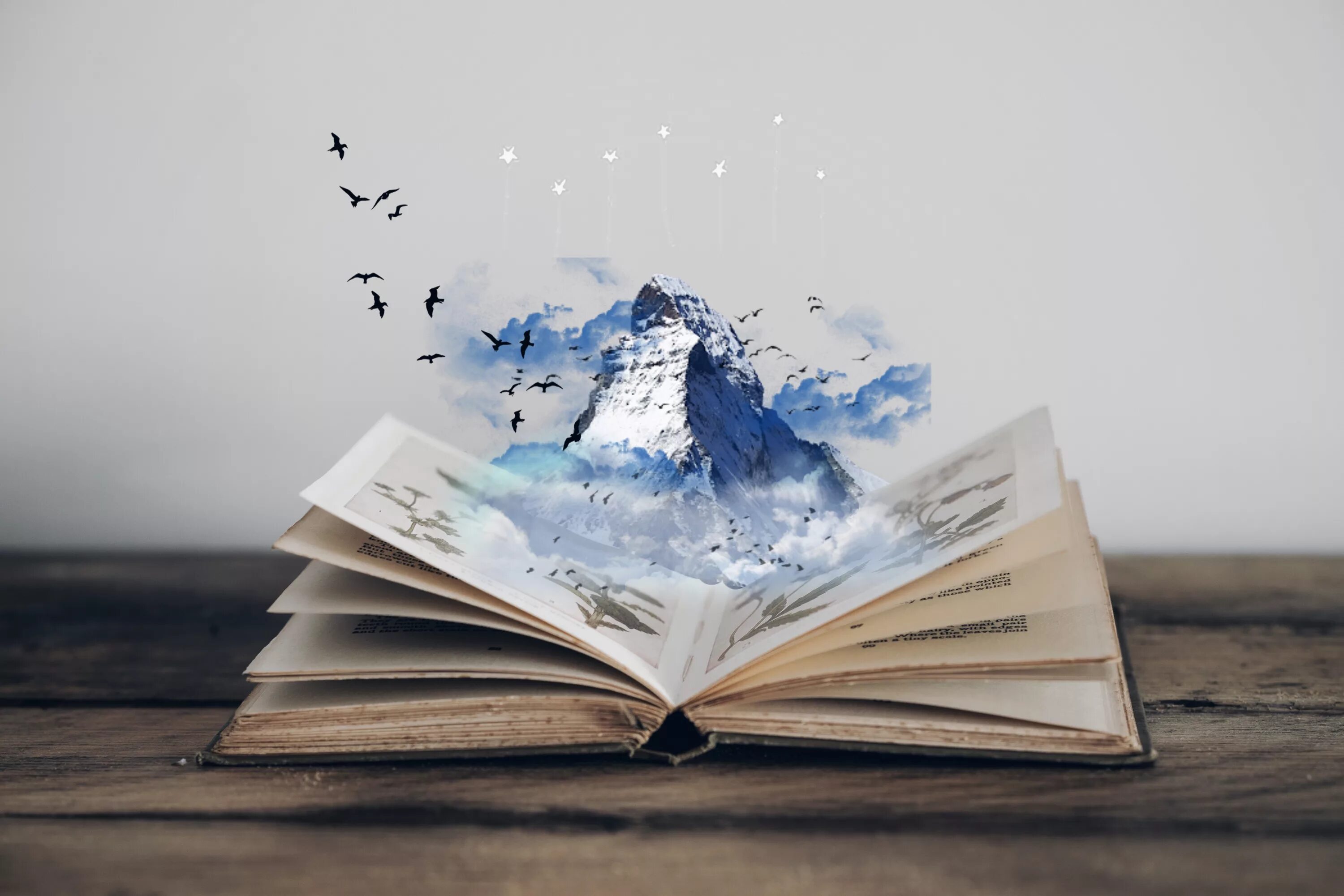 Книга маленькая гора. Гора из книг. Книга на фоне гор. Книжная гора. Гора книг арт.
