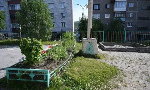 Сада мурманска