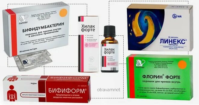 Восстановление микрофлоры кишечника после отравления