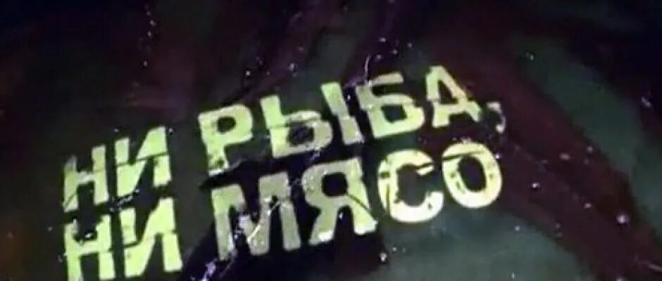 Ни рыба ни мясо предложение. Ни рыба ни мясо. Ни рыба ни мясо значение. Ни рыба ни мясо картинка.