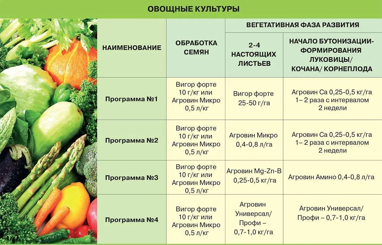 12 овощей и трав. Овощные культуры. Овощные культурные растения. Название овощных культур. Овощи открытого грунта.