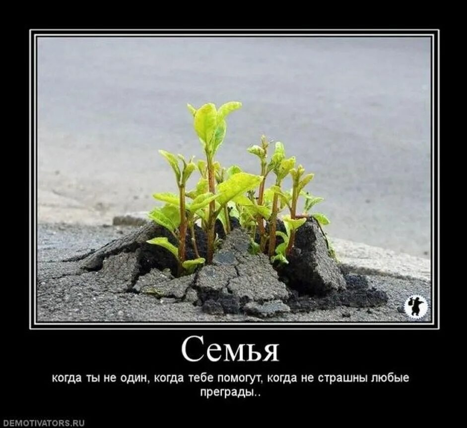 Значение сила жизни
