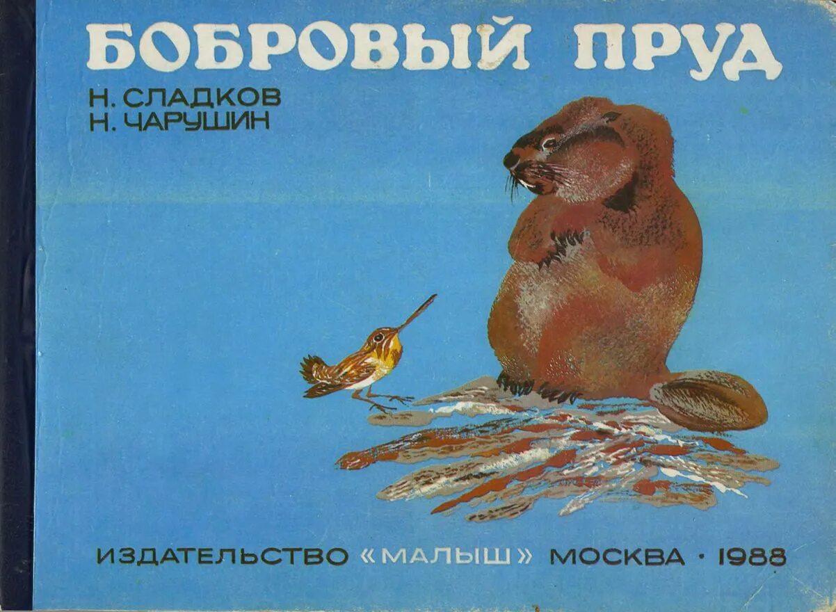 Книги о бобрах для детей. Акимушкин жил был бобр. Бобровая книги. Книги о бобрах. Крысы и бобры книга.