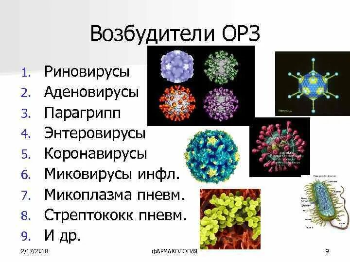 Какие возбудители гриппа. Возбудитель гриппа аденовирус ретровирус. Вирусы возбудители острых респираторных заболеваний. Аденовирус вирус Вирион. Возбудители респираторных инфекций микробиология таблица.