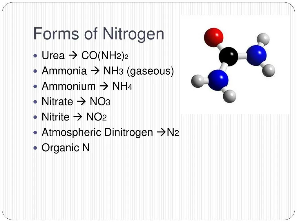 Молекула nh3. Модель молекулы nh3. Презентация nitrogen Ammonia. Nh3 no2. N2 nh3 t