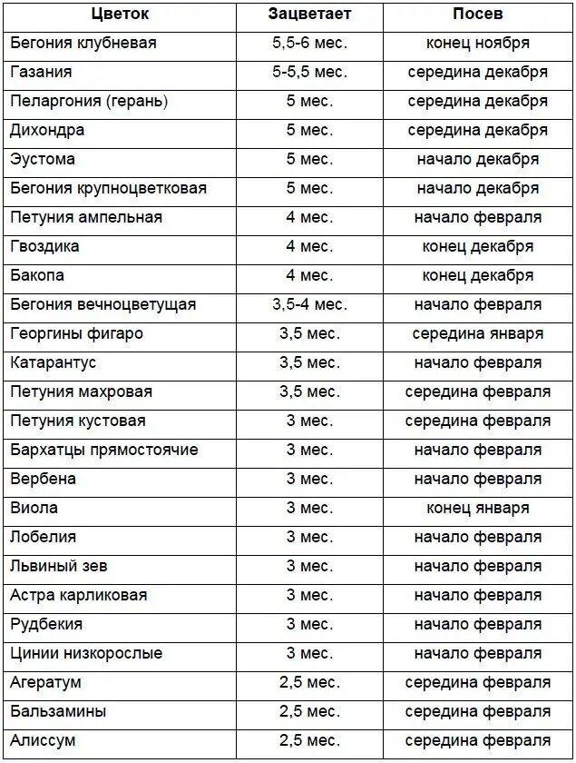 Что можно посадить в феврале на рассаду. Сроки высадки семян на рассаду таблица. сроки посадки однолетников на рассаду таблица. таблица посадки семян цветов на рассаду. таблица от посева до цветения однолетники.