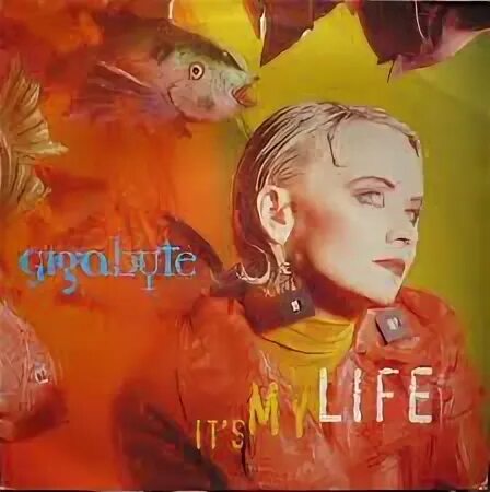 Talk talk "it's my Life". Talking my life