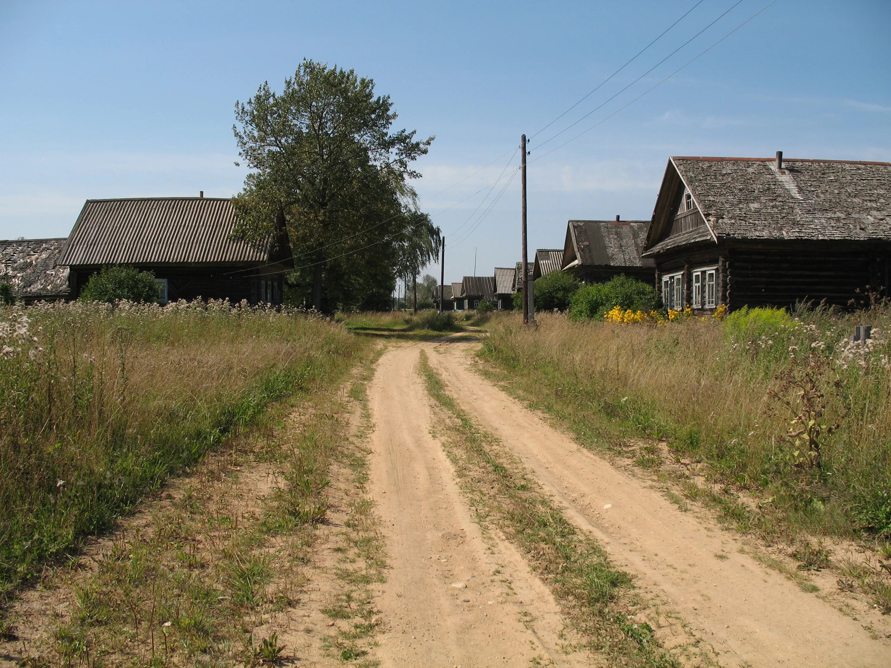 Деревня Тверская область. Деревня Сандово Тверская область. Городок Тверская область Сандовский. Деревня Дорожаево Тверская область.