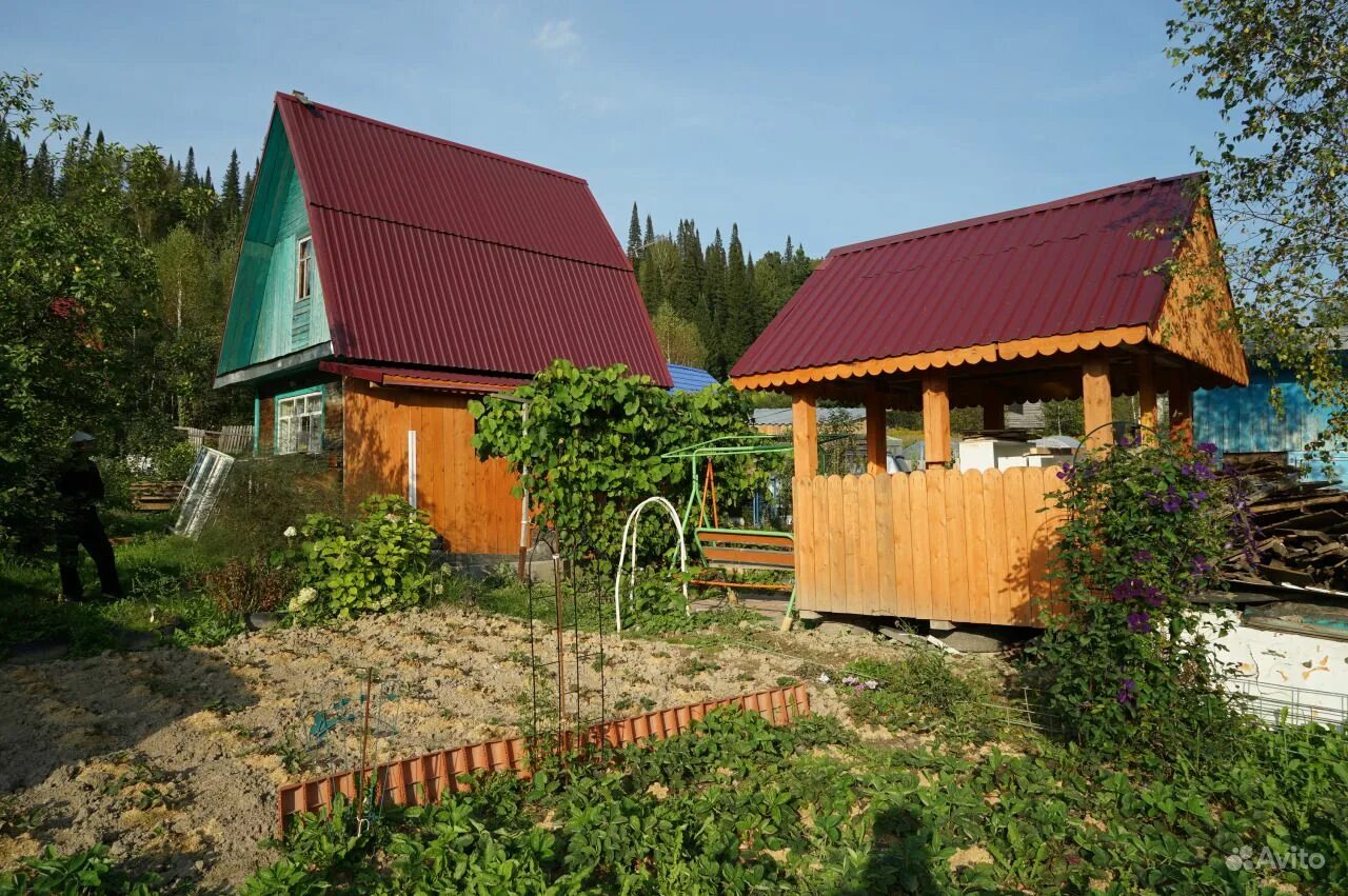 нахаловка междуреченск. авито междуреченск дача. дача снт березка. нахаловка междуреченск. авито междуреченск.