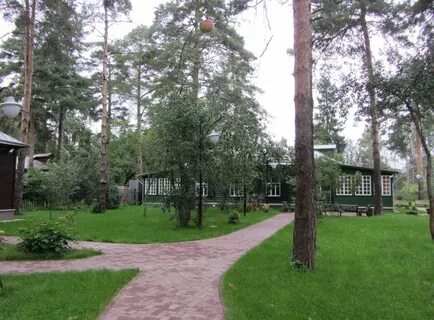 Болшево лесные поляны