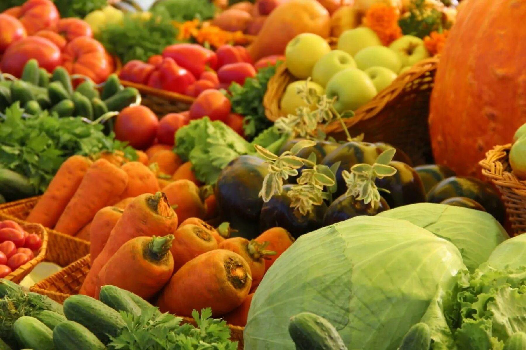 Использование сельскохозяйственной продукции. Сельскохозяйственная ярмарка. ярмарка сельхозпродукции. ярмарка сельскохозяйственной продукции. овощи и фрукты.