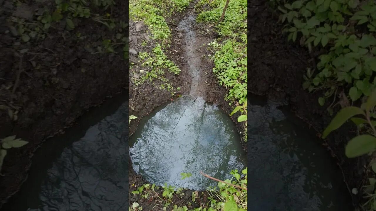 Удалили родника. Очистка родников. Чистка ручья. Родниковая жила. Черная вода в Родниках.