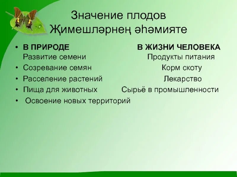 Разнообразие плодов и их роль в природе. Роль плодов в жизни человека. Роль плодов в природе и в жизни человека. Роль плодов и семян в жизни человека. Каково значение семенных растений в природе