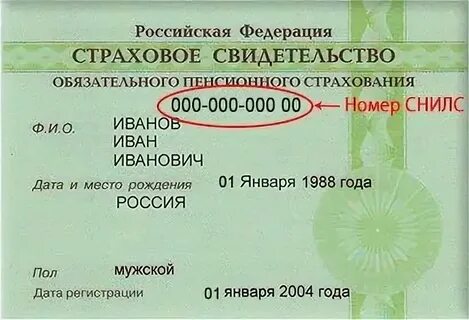 Как узнать снилс по свидетельству о рождении