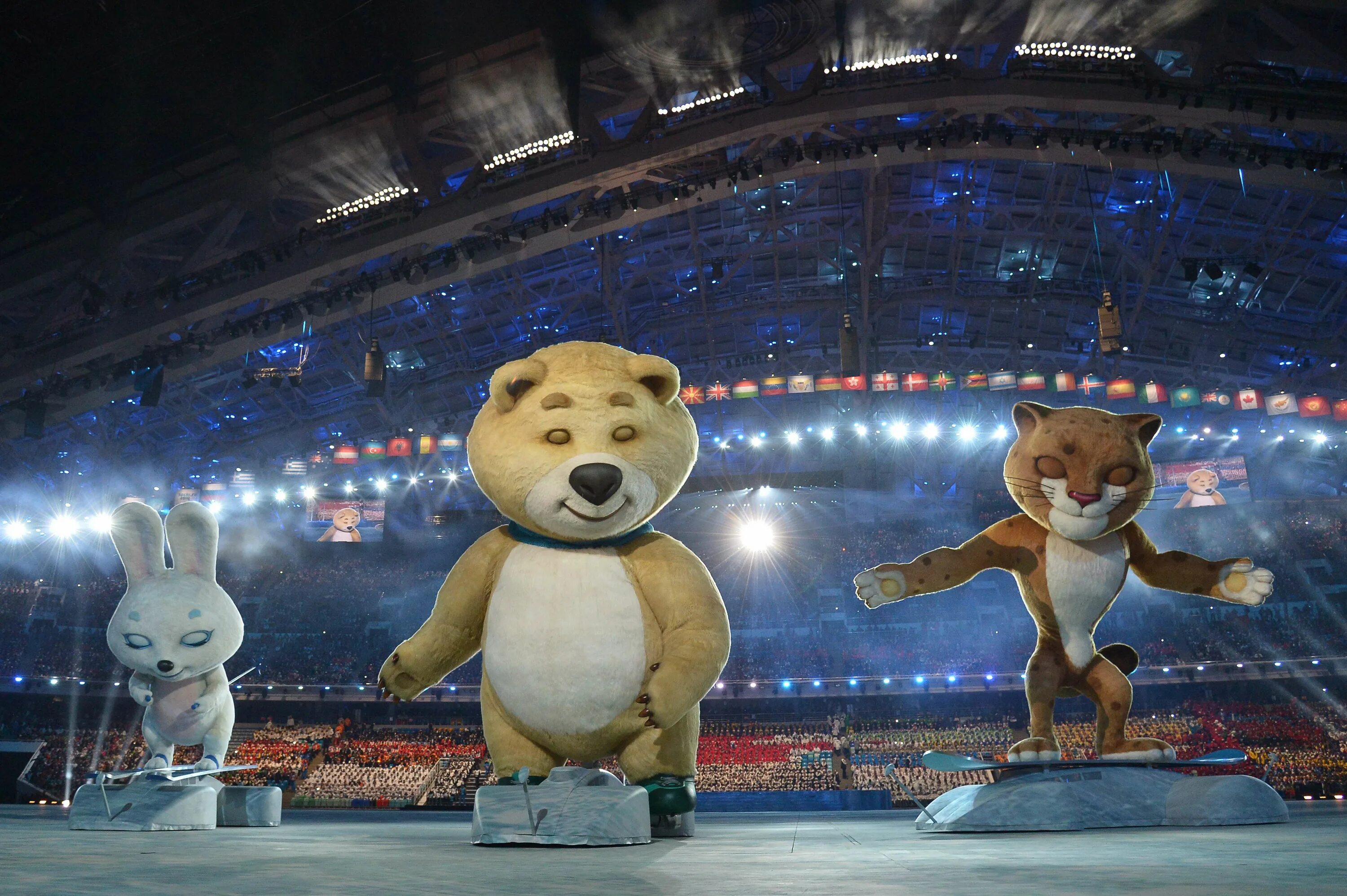 Зимние Олимпийские игры в Сочи 2014. Сочи столица зимних Олимпийских игр 2014.