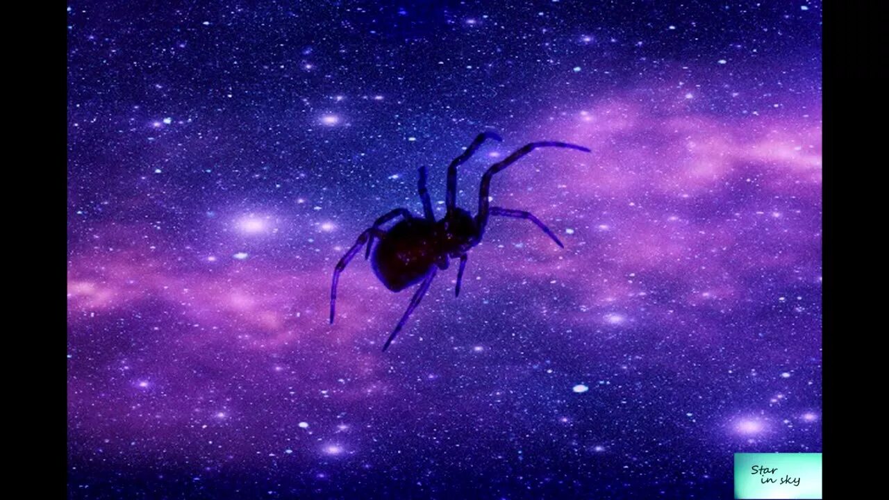 Огромный паук в космосе. Космический паук. Паучок космос. Пауки в космосе 1973. Первый паук в космосе.