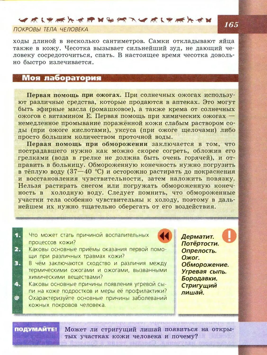 Что может стать причиной воспалительных процессов кожи. Конспект по биологии 8 класс болезни и травмы кожи. таблица по биологии болезни и травмы кожи. таблица по болезни и травмы кожи биологии 8 класс песечник. таблица болезни и травмы кожи биология 8 класс пасечник.