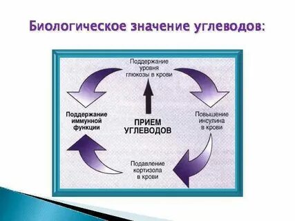 Значение углеводов для организма биология