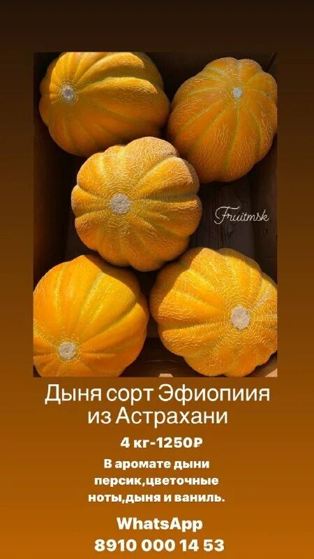 нота дыни. семена дыня ананас. канталупа фрукт. дыня канталуп. слоговая структура.