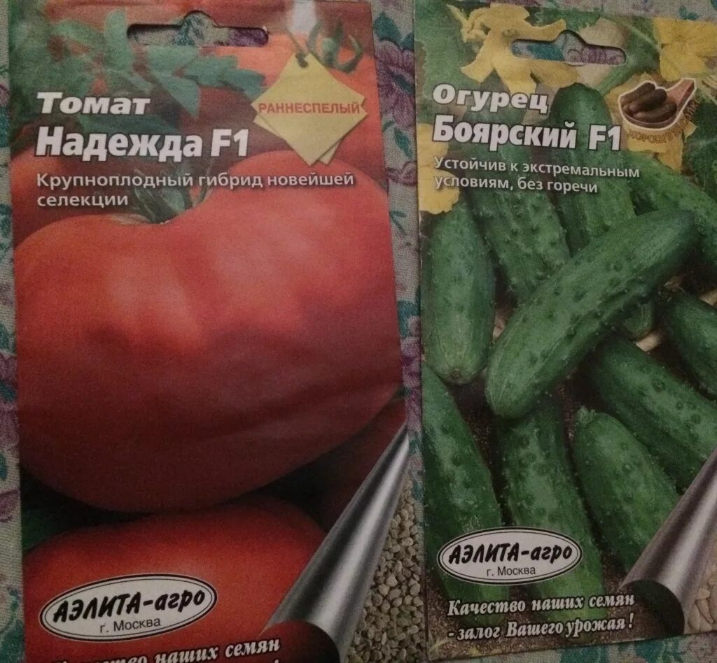 Томат моне f1 партнер (10 шт. Томатные семена. Помидоры сорт огурцы. Помидоры черри чудо на окошке. Помидоры свежие.