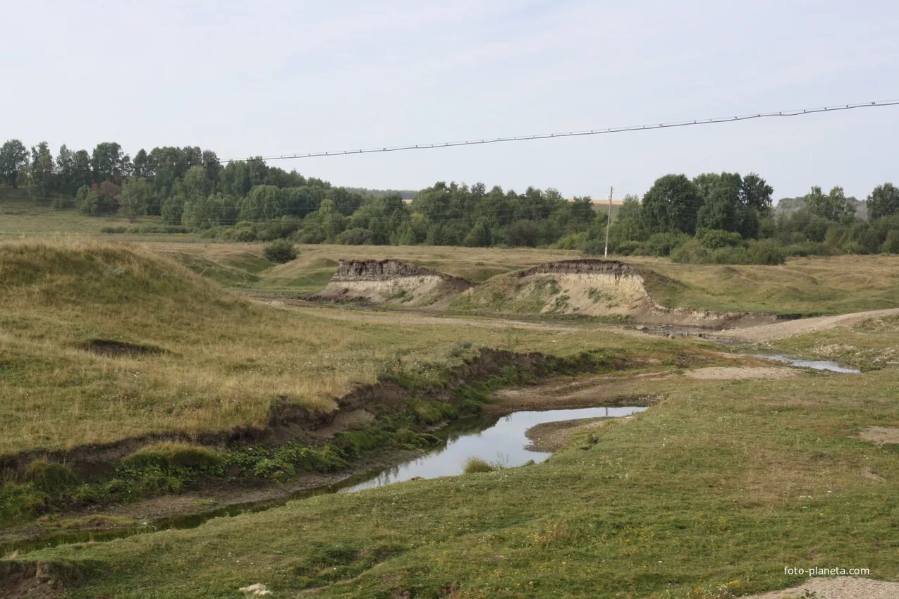 Село Шалап Алтайский край. Алтайский край, Целинный р-н, с. Шалап. Целинный район село Еланда. Шалап Целинный район. Погода еланда целинный алтайский край