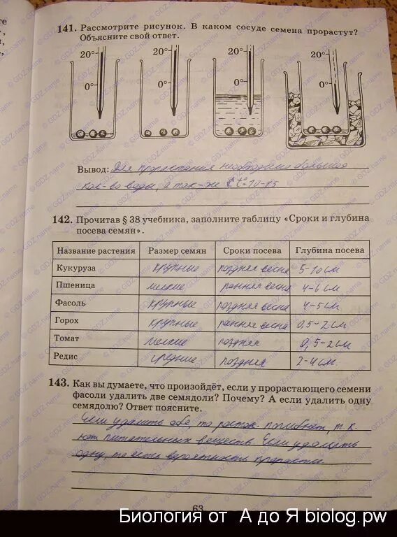 Лабораторная работа всхожесть семян. Сроки и глубина посева семян таблица 6 класс биология. Сроки и глубина посева семян. Таблица по биологии 6 класс прорастание семян. Таблица по биологии 6 класс сроки и глубина посева семян.