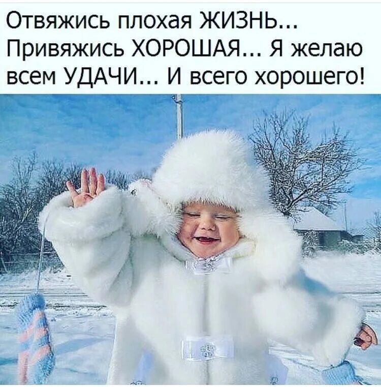 Доброе утро сильный мороз. Отвяжись плохая жизнь привяжись хорошая. Доброе зимнее утро с юмором. Анекдоты про зиму в картинках. С добрым снежным утром прикольные.