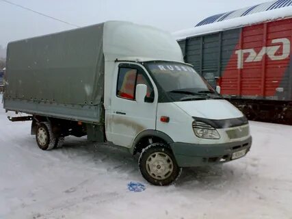 Газель кубов