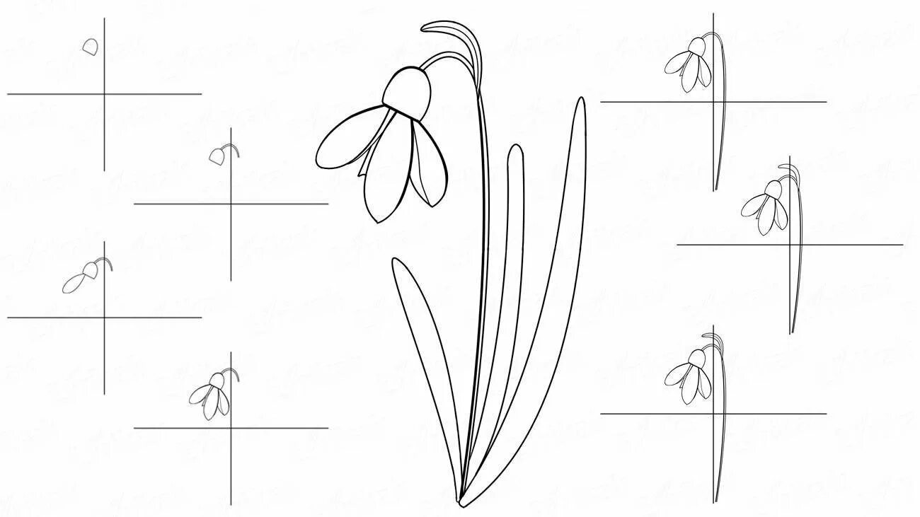 Рисовать цветы поэтапно карандашом подснежники. Поэтапное рисование подснежника. Поэтапный рисунок подснежника. Подснежник рисунок карандашом. Рисование подснежника поэтапно 1 класс