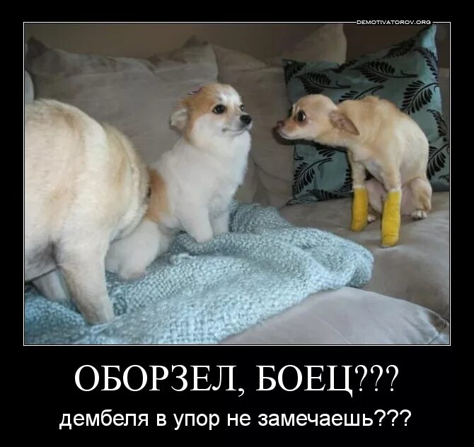 Не замечать в упор