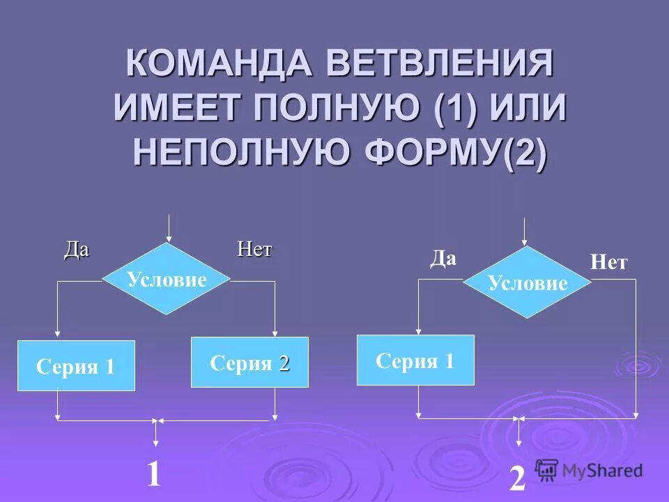 Алгоритм ветвления полная и неполная форма