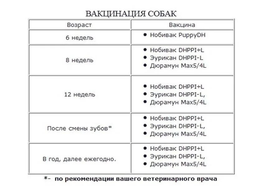 Первая прививка щенку возраст. Какую прививку делают щенку в 2 месяца. Прививки щенкам по возрасту таблица йоркам. Какие прививки делаются собаке в 1 год. Какие прививки собаке делаются в 2 месяца.