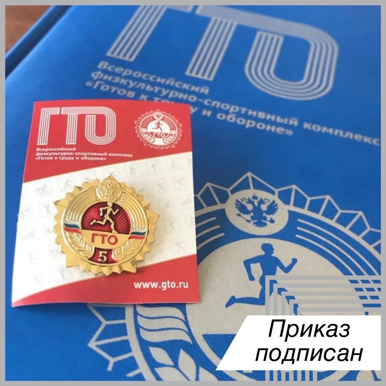 Http gto ru. ВФСК ГТО знак. Знак ГТО золото. Приказ ГТО. Значки ГТО подписанные.