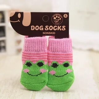 Носки лапы собаки