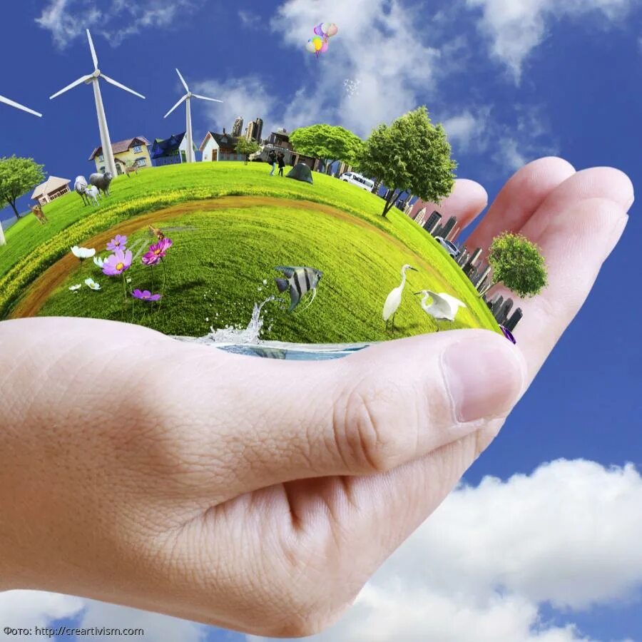 Самая экологичная страна. Экологическая маркировка товаров. Экологические знаки маркировки продукции. Европейский цветок экомаркировка. Рациональное и нерациональное природопользование.