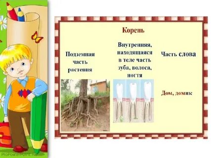 Агроном окончание