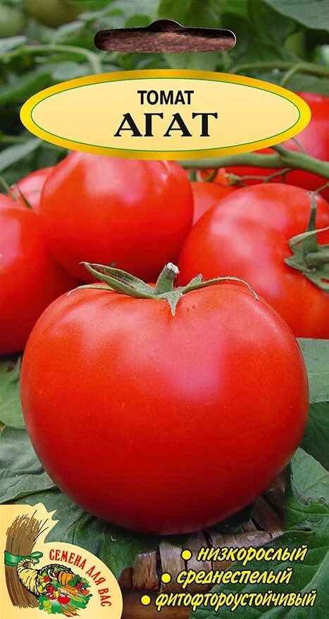 Томат Агата: характеристика и описание сорта, отзывы садоводов с фото
