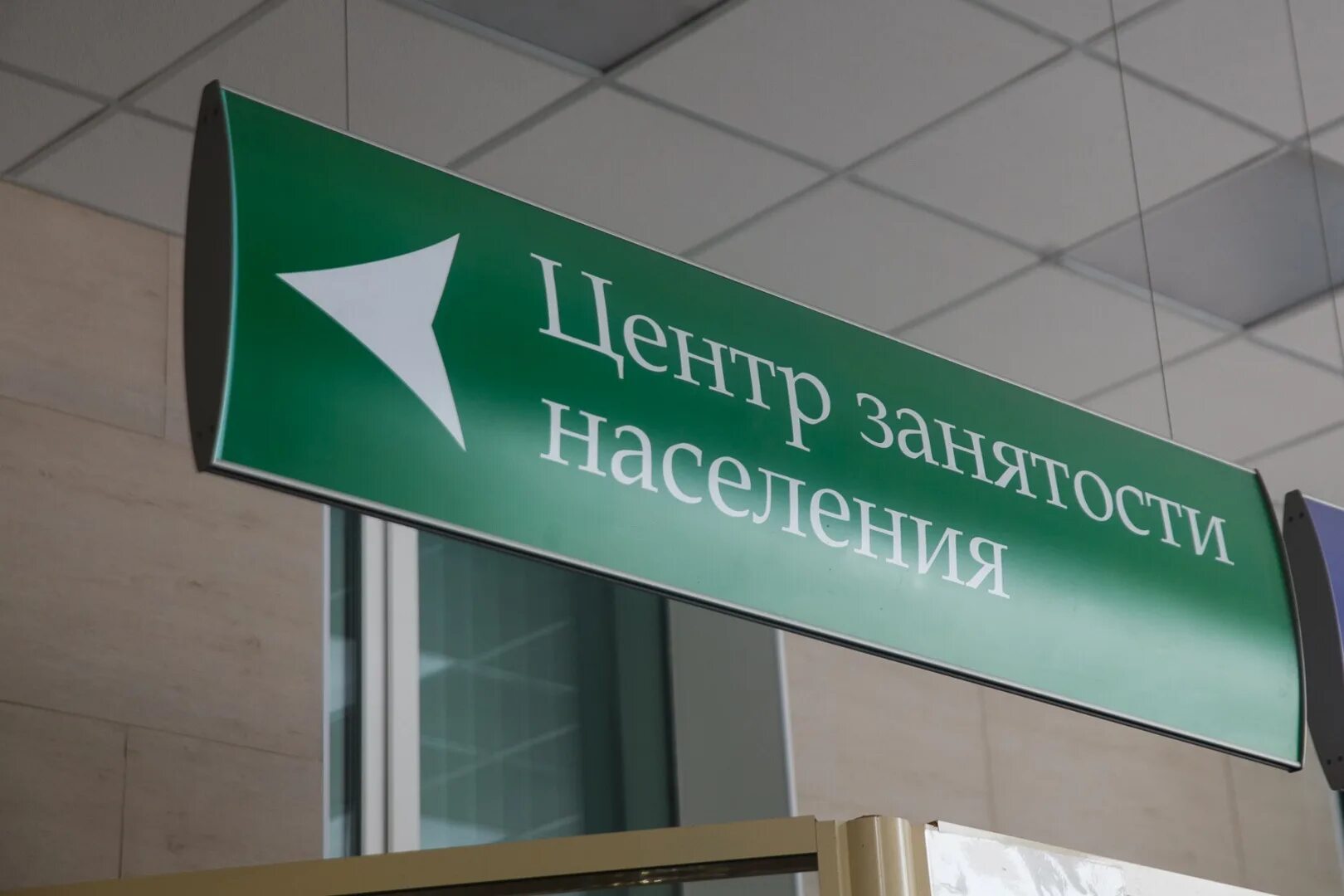 Список центр занятости населения. Центр занятости занятости. Служба занятости оказывает услуги. Список центр занятости населения. Сотрудник цзн.