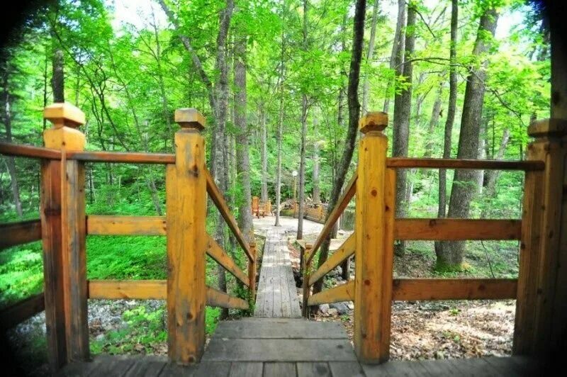 времена года дом отдыха. наговье тверская область. озеро наговье тверская область торопецкий район. наговье озеро тверской области. зимняя турбаза.