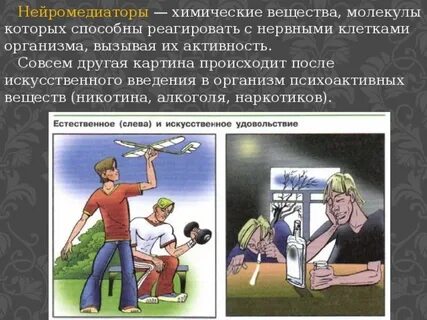 Сообщение человек и другие люди
