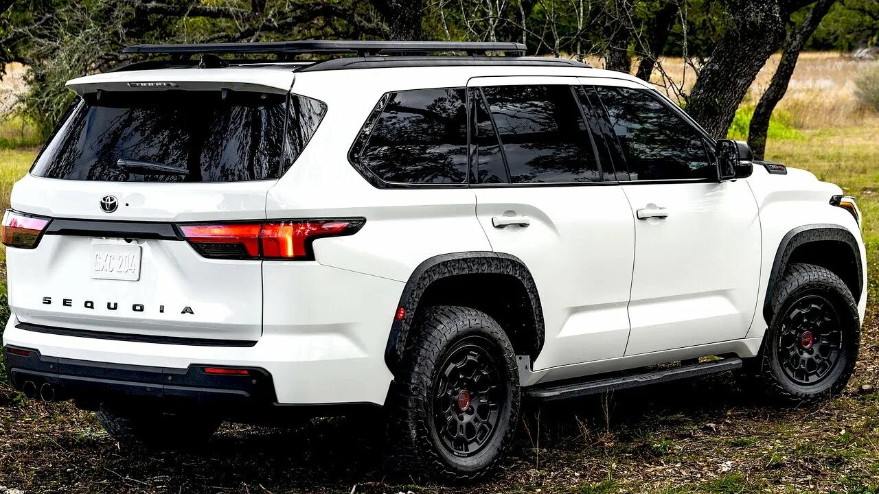 Sequoia trd. Sequoia trd