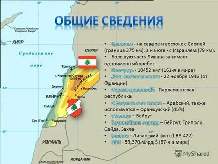 Площадь палестины в кв км