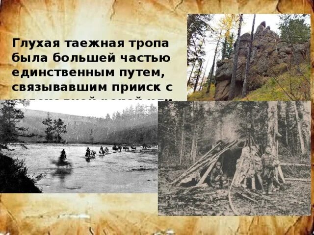 Рассказ таежными тропами 82. Рассказ таежными тропами 82. Павлишин. Рассказ таежными тропами 82. Рассказ таежными тропами 82.