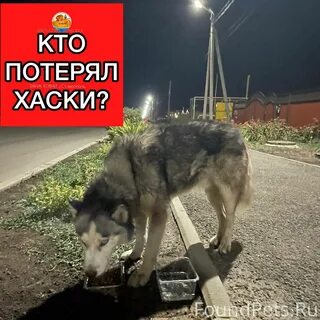 Спокойно подойти