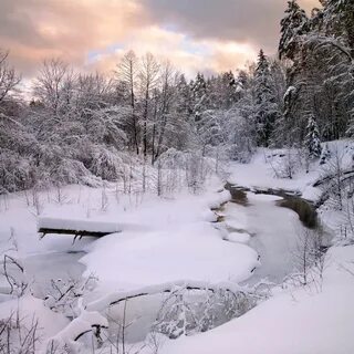 Фото зимы река