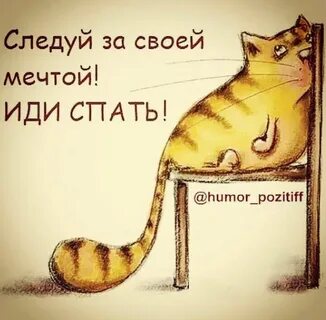 Всем спать смешные картинки