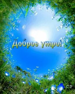 Доброе утро голубое небо