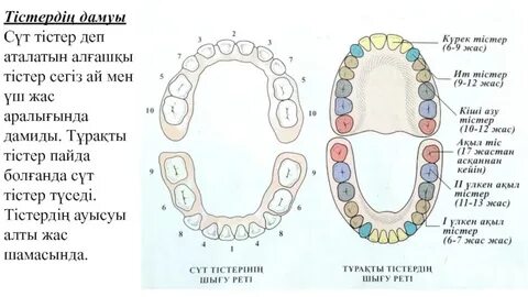 Ретро порно тегін