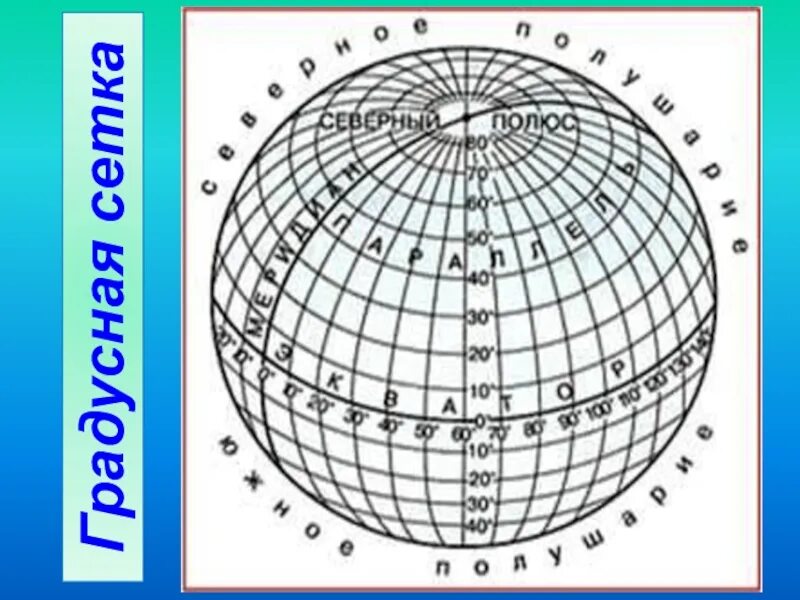 Градусная сетка. Географическая градусная сетка. Градусная сеть на глобусе. Глобус с градусной сеткой. Презентация градусная сетка